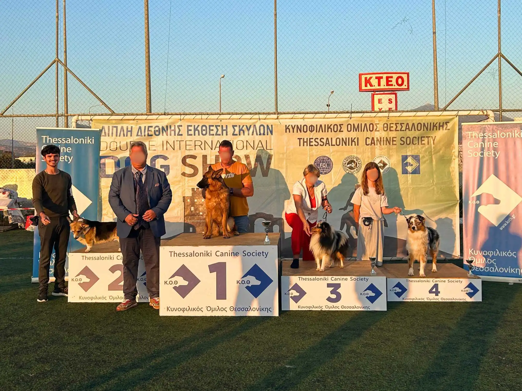 Corgi Koda auf einer CACIB mit 2. Platzierung in der FCI Gruppe 1 auf dem Podest