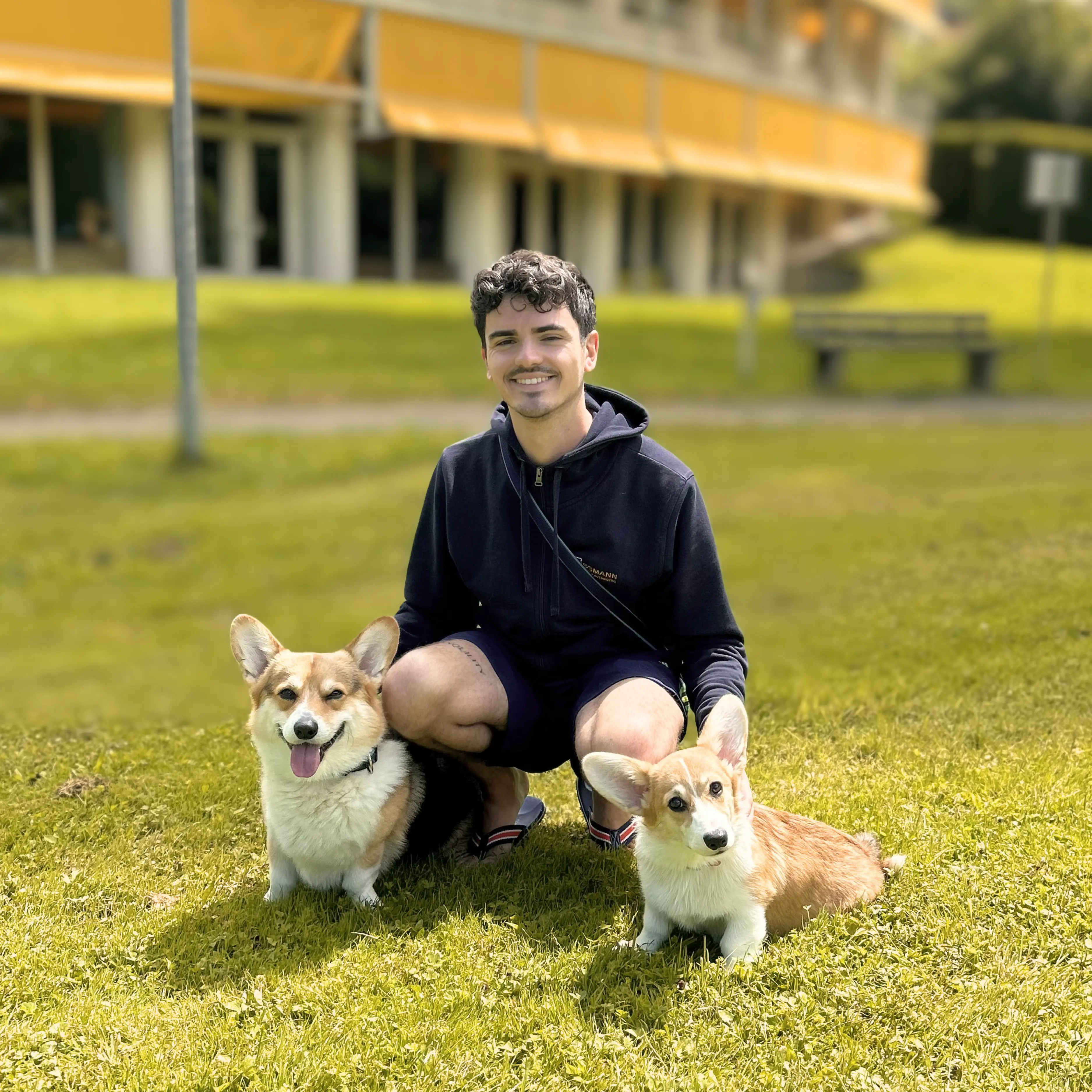 Besitzer mit zwei Pembroke Welsh Corgis